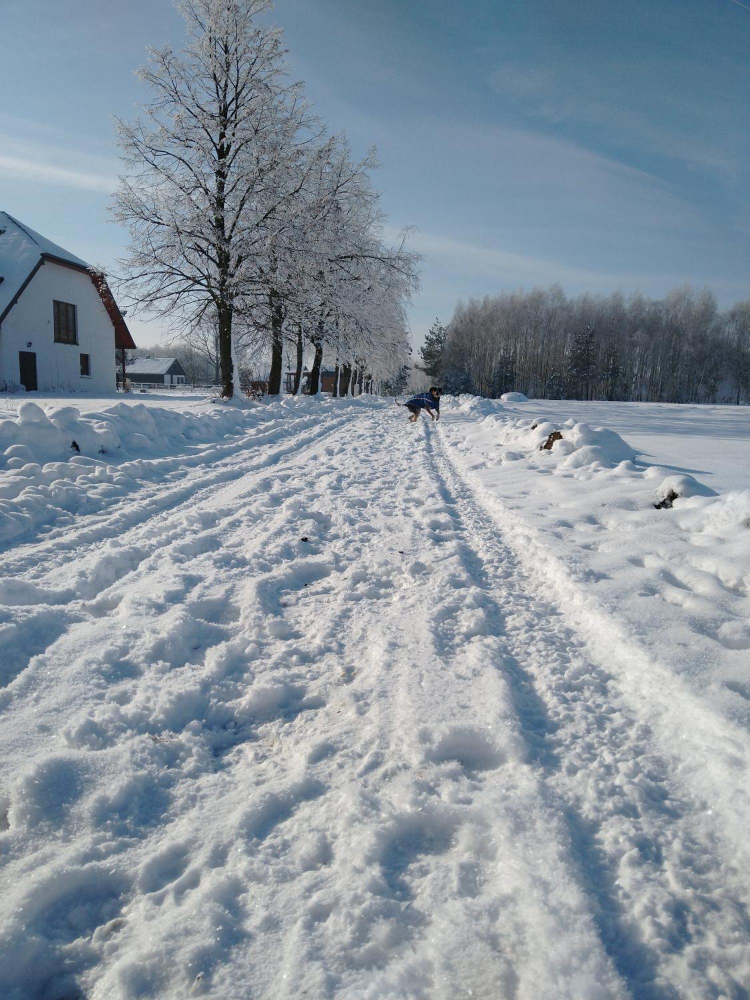 Domek Przy Stajni Bogdanowka Caloroczny Rossosz Kültér fotó
