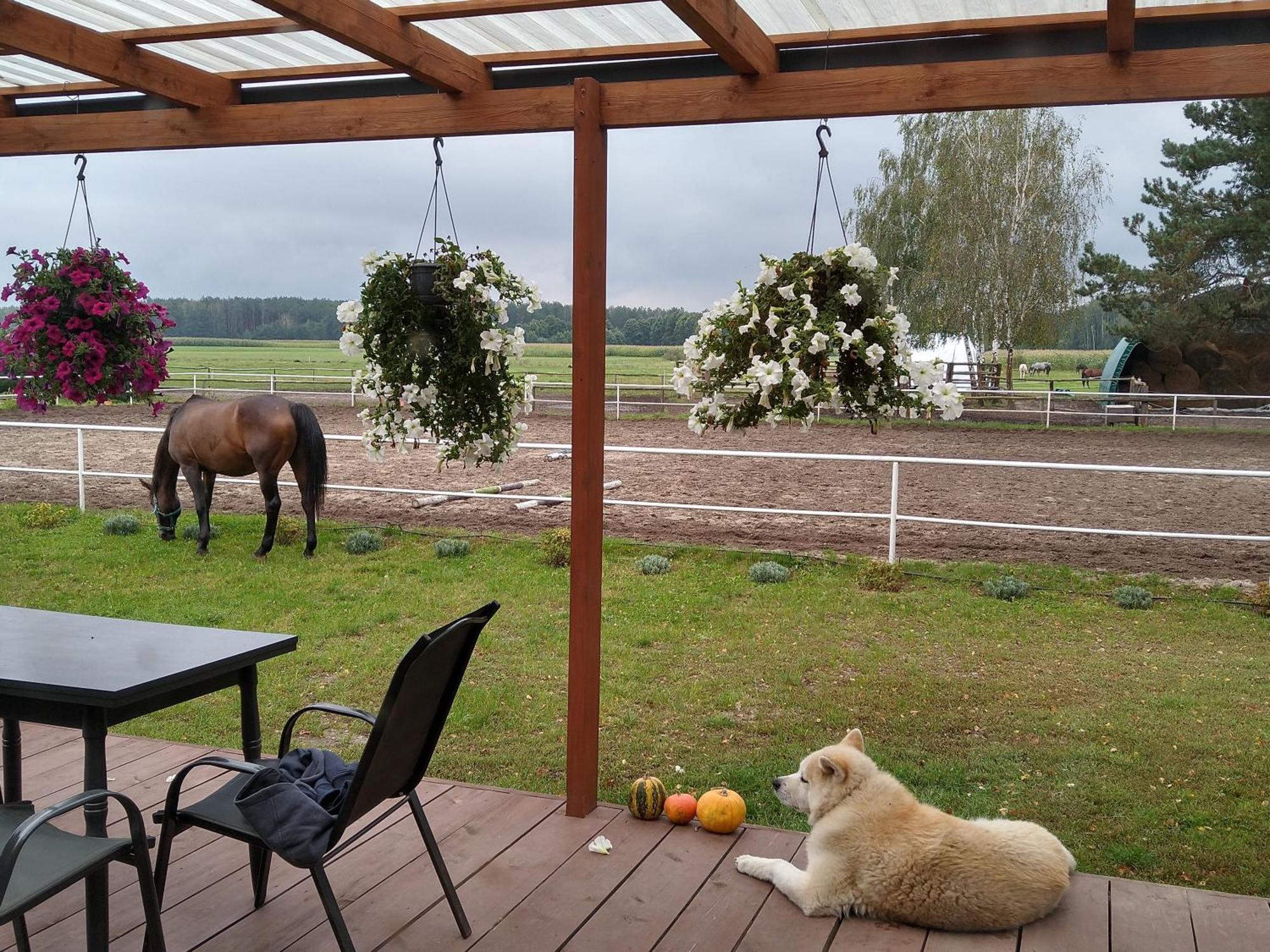 Domek Przy Stajni Bogdanowka Caloroczny Rossosz Kültér fotó